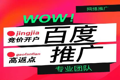 案例分析：百度推广托管如何实现高转化率
